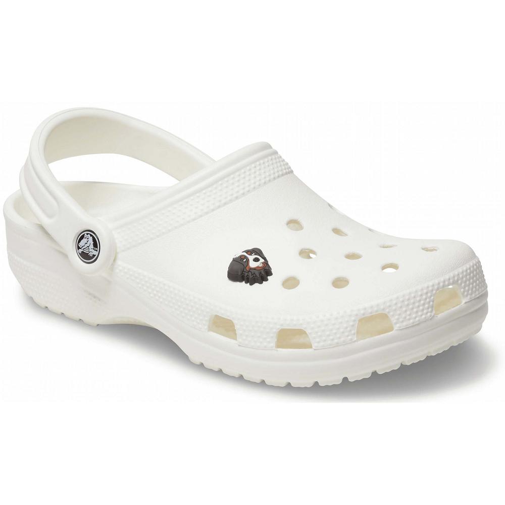 Crocs Bernese Mountain Dog | 2361978Ελλαδα -CH