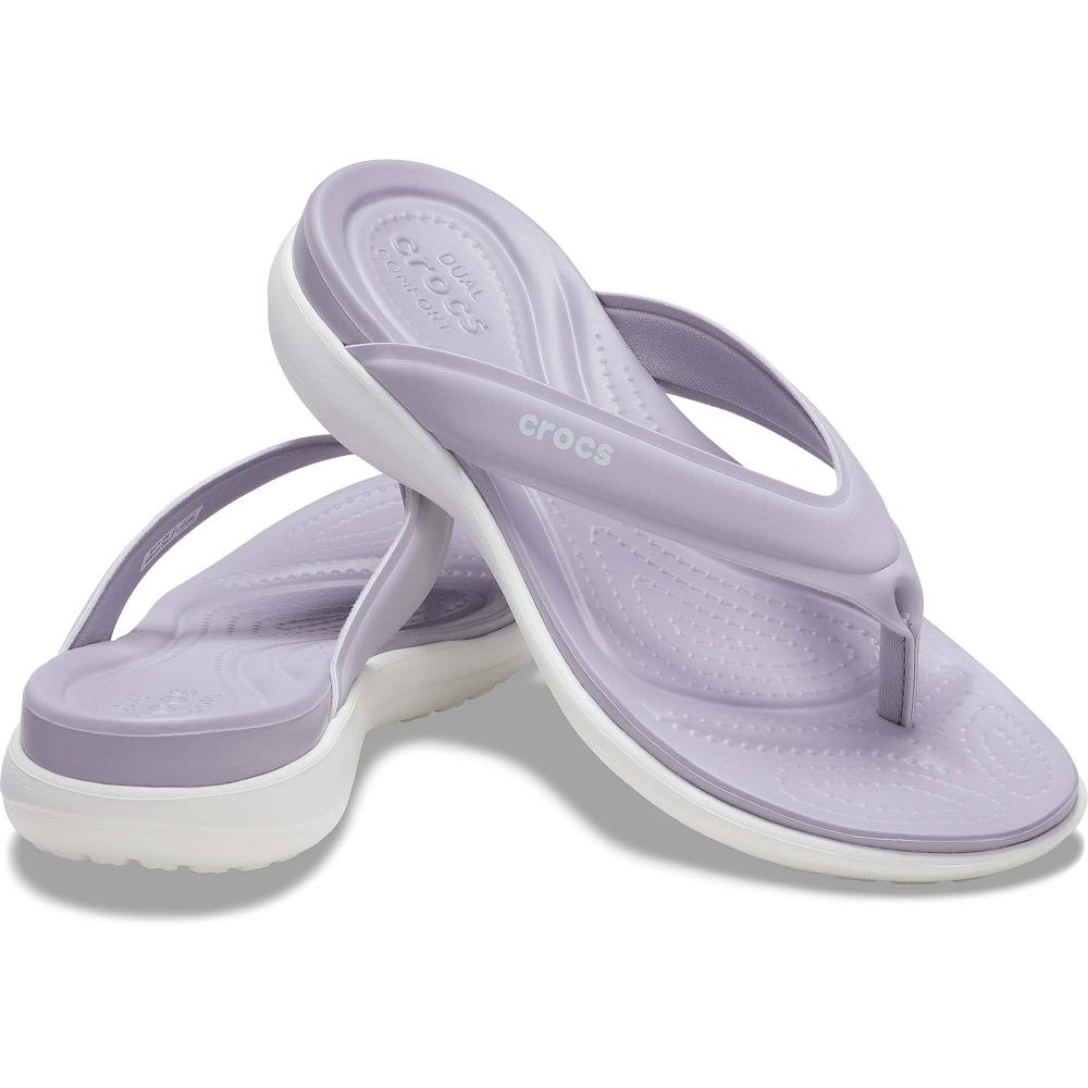Crocs Capri V Sporty μωβ | 3625149Ελλαδα -AN
