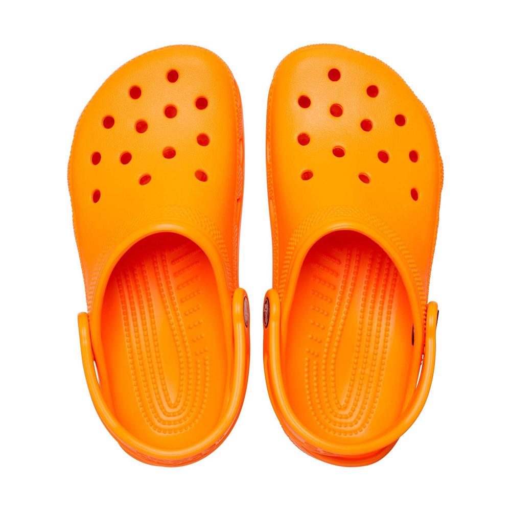 Crocs Toddler Classic πορτοκαλι | 5413062Ελλαδα -YF